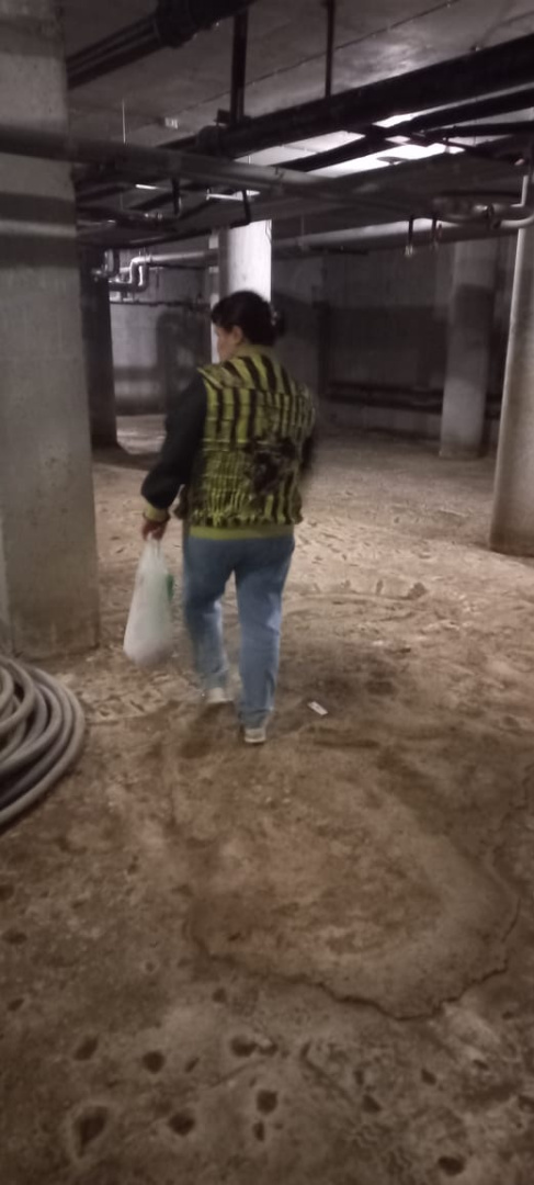 Изображение WhatsApp 2025-07-22 в 16.13.36_3db5672f.jpg