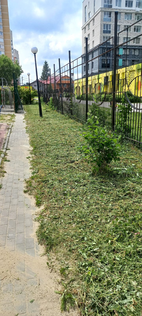 Изображение WhatsApp 2025-06-18 в 13.01.18_155e7327.jpg